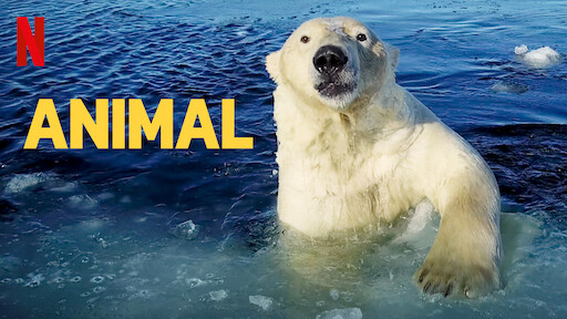 Watch 72 Dangerous Animals: Asia | Netflix Official Site Watch 72 Dangerous Animals: Asia | Netflix Official Site