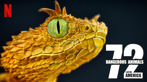 Watch 72 Dangerous Animals: Asia | Netflix Official Site Watch 72 Dangerous Animals: Asia | Netflix Official Site