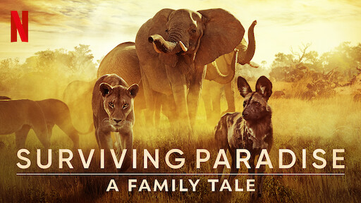 Watch 72 Dangerous Animals: Asia | Netflix Official Site Watch 72 Dangerous Animals: Asia | Netflix Official Site
