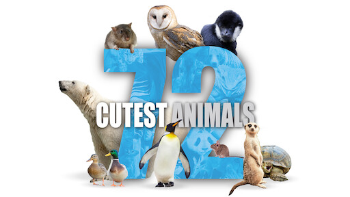 Watch 72 Dangerous Animals: Asia | Netflix Official Site Watch 72 Dangerous Animals: Asia | Netflix Official Site