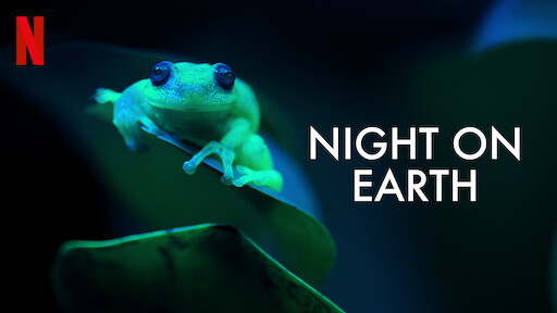 Watch 72 Dangerous Animals: Asia | Netflix Official Site Watch 72 Dangerous Animals: Asia | Netflix Official Site