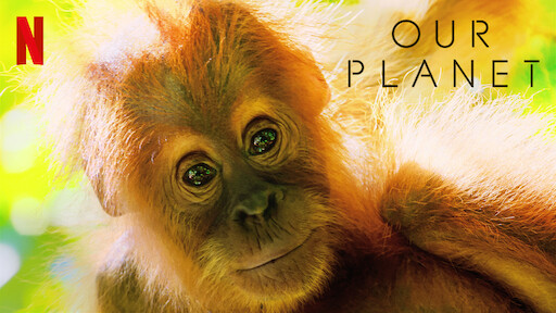 Watch 72 Dangerous Animals: Asia | Netflix Official Site Watch 72 Dangerous Animals: Asia | Netflix Official Site